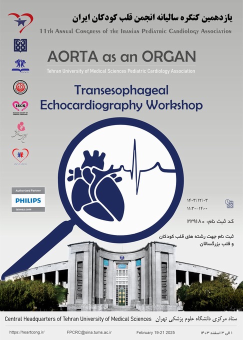 Transesophageal echocardiography workshop